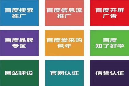 某电商平台的SEM广告投放全流程解析